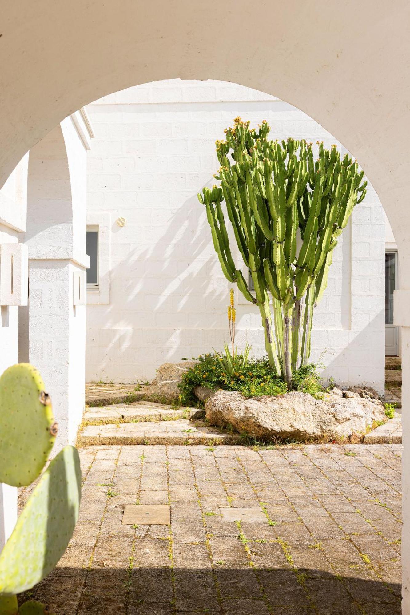 Masseria San Francesco Savelletri Exterior foto